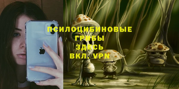 PSILOCYBIN Алексеевка