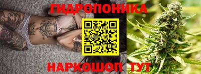 jwh Ачхой-Мартан
