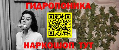 jwh Ачхой-Мартан