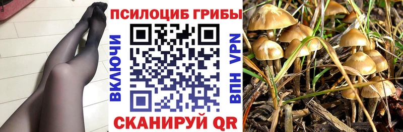 Галлюциногенные грибы MAGIC MUSHROOMS  где продают наркотики  Белгород 