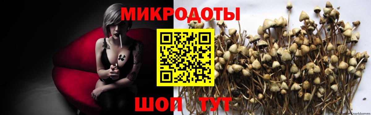 Галлюциногенные грибы Cubensis Белгород